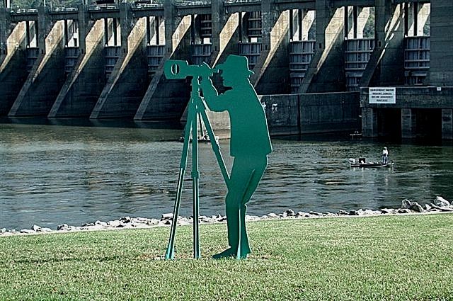 0_BIRD_WATCHER