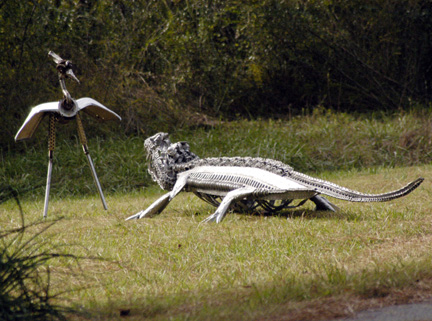 1781gator_grebe