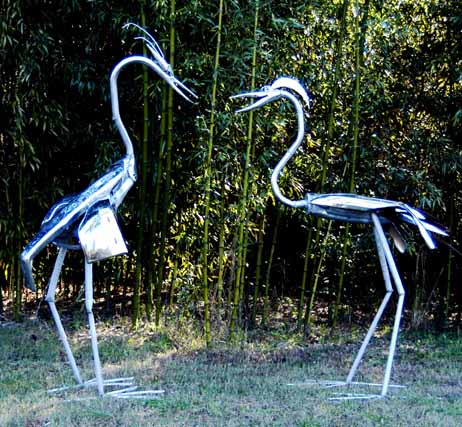 1781herons_courting