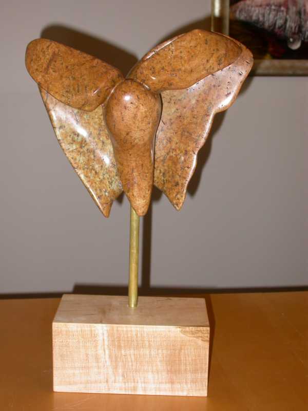 2620Butterfly_1