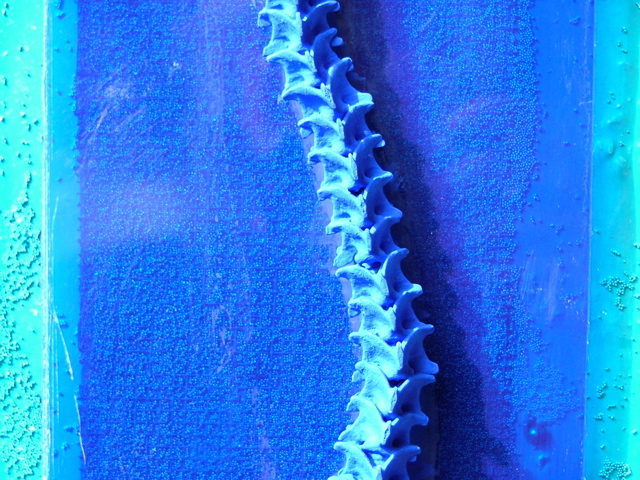 362DSCF0177