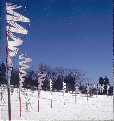 53ws_inst_fujino_winter