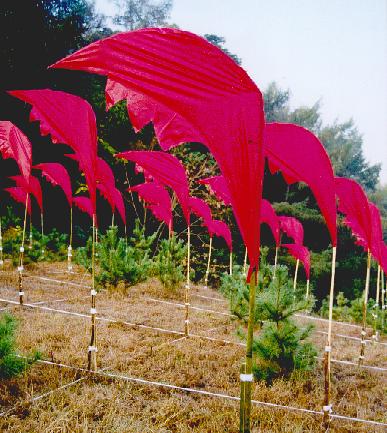 53ws_inst_korea_patroon