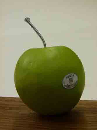 Apple_Green_Finger_Labyrinth_Plaza_Diorama_work_in_progress