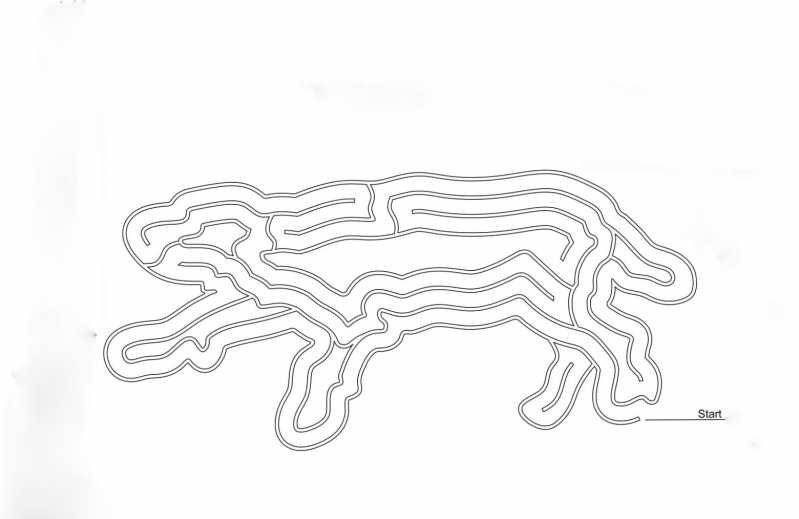 Dog_Labyrinth