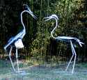 1781herons_courting.jpg