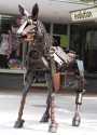 1781pony_isc.jpg