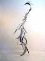 2850plumage_2a.jpg