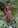 The_Long_Walk-Pam_Foley.jpg