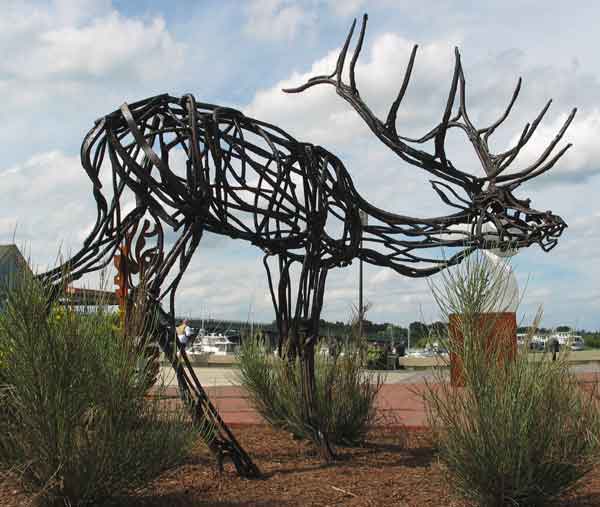 999Elk-web