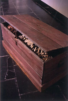 504remains