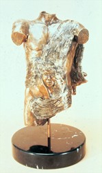 98torso_frontview_sm