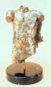 98torso_frontview_sm.jpg