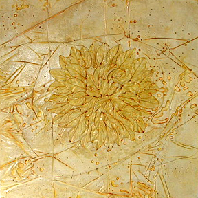 49colorplate1