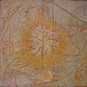 49colorplate3