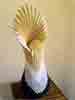 Anemone-web-forum