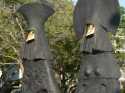 999Philip-Jackson.jpg