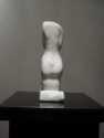torso_small.jpg